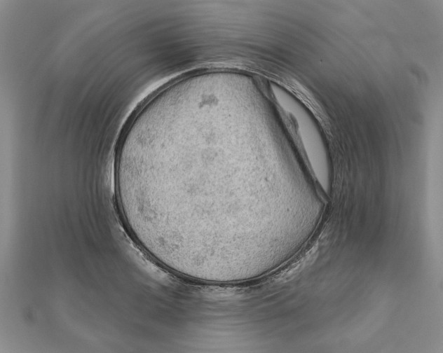 X0000111201036200907291226