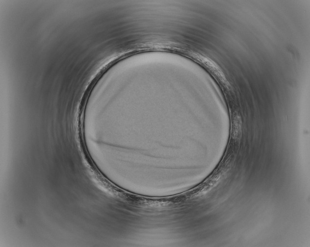 X0000111201039200907291226