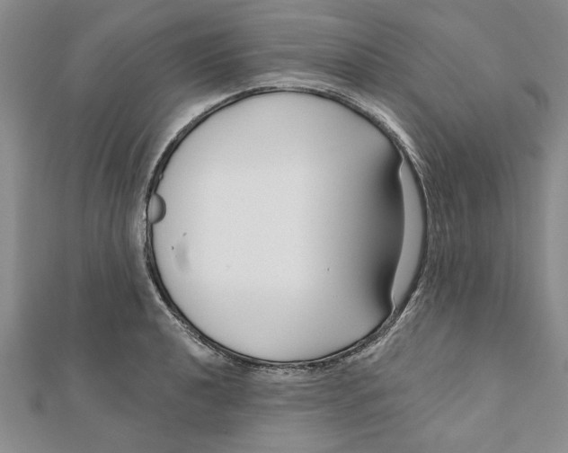 X0000111201040200907291226