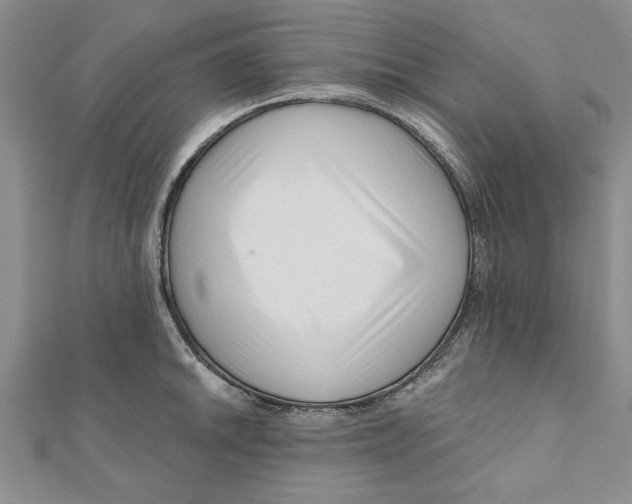 X0000111201046200907291226