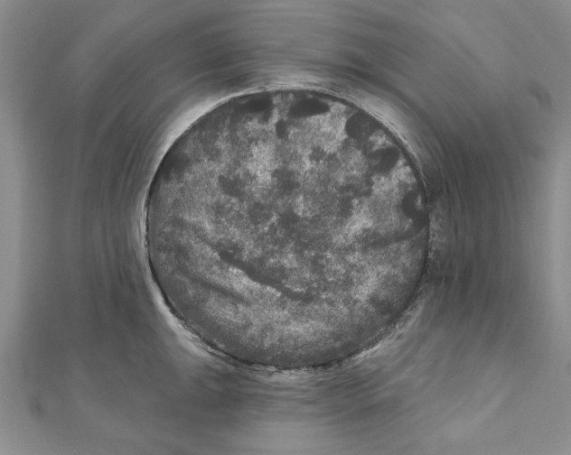 X0000111201047200907291226