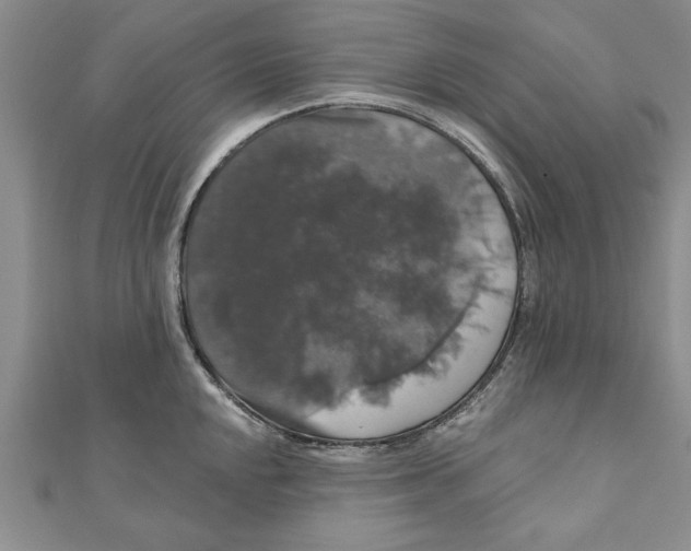 X0000111201048200907291226