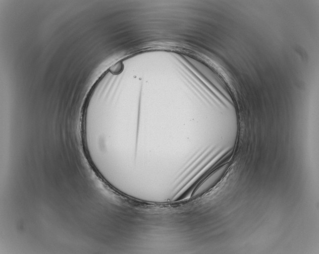 X0000111201050200907291226