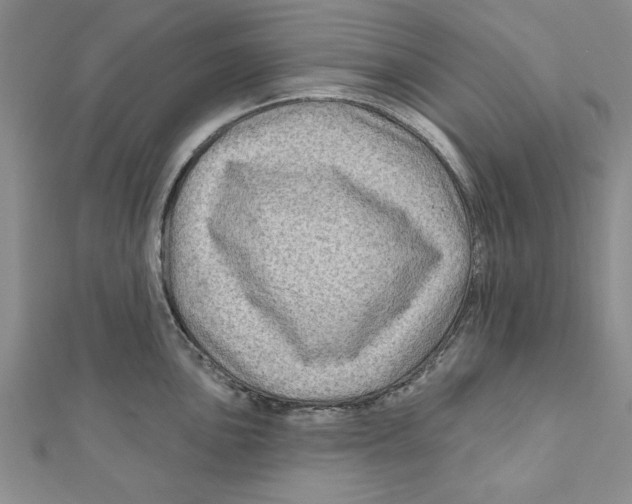 X0000111201051200907291226