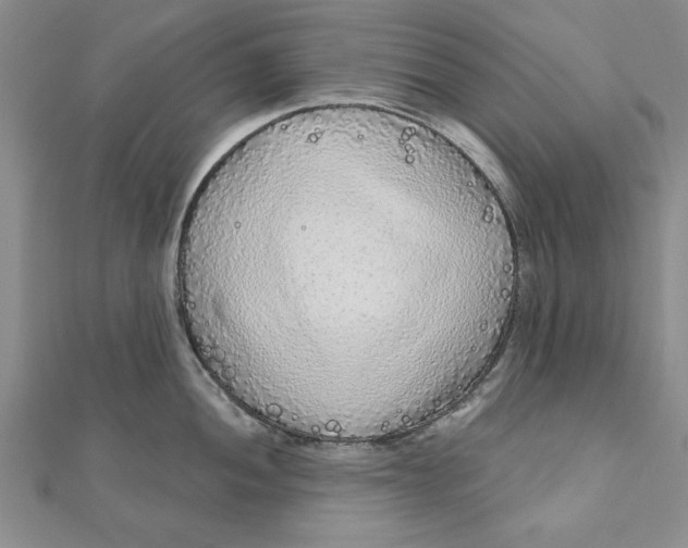 X0000111201052200907291226