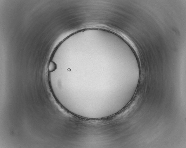 X0000111201053200907291226