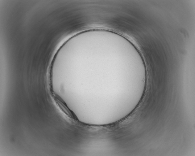 X0000111201056200907291226