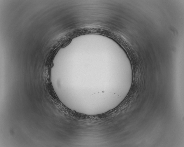 X0000111201062200907291225