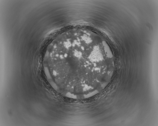 X0000111201063200907291225