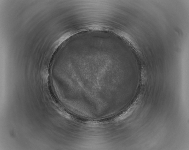 X0000111201065200907291225