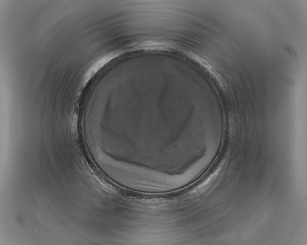 X0000111201066200907291225