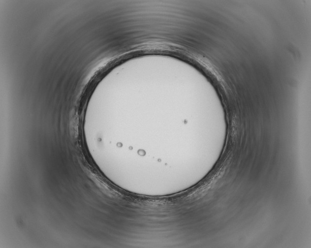 X0000111201067200907291225