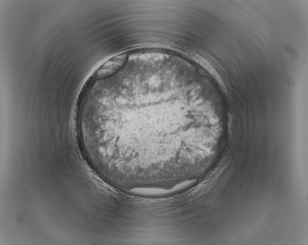 X0000111201068200907291225