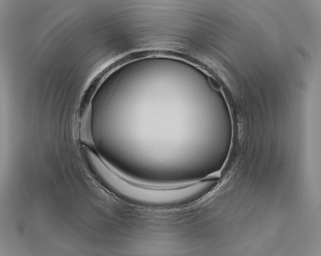 X0000111201069200907291225