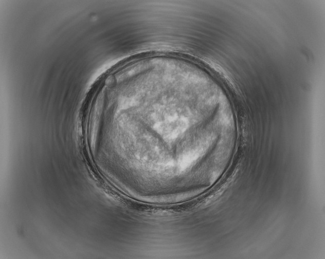 X0000111201070200907291225