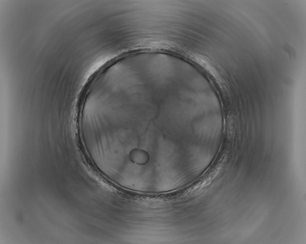 X0000111201071200907291225