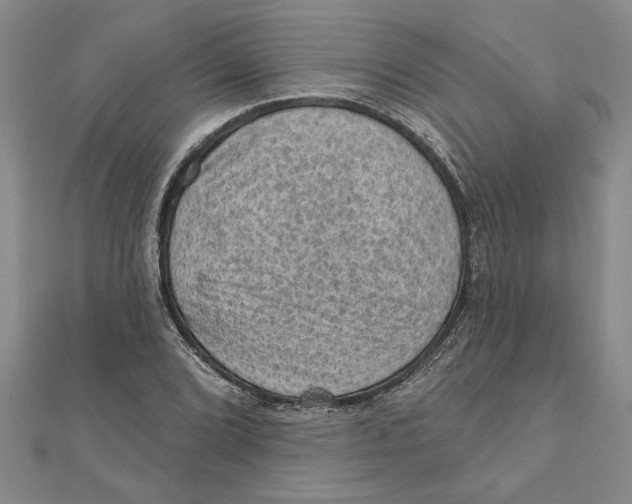 X0000111201072200907291225