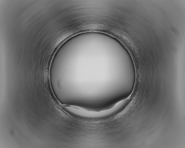 X0000111201073200907291225