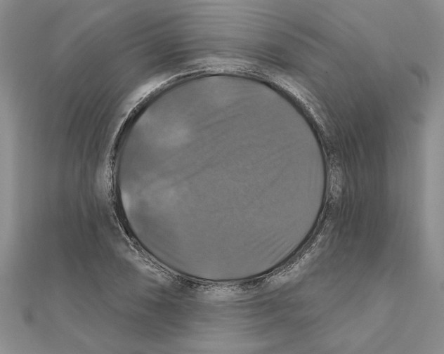 X0000111201074200907291225