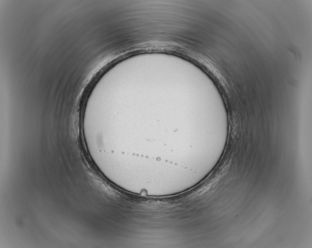 X0000111201075200907291225