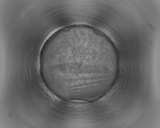 X0000111201076200907291225