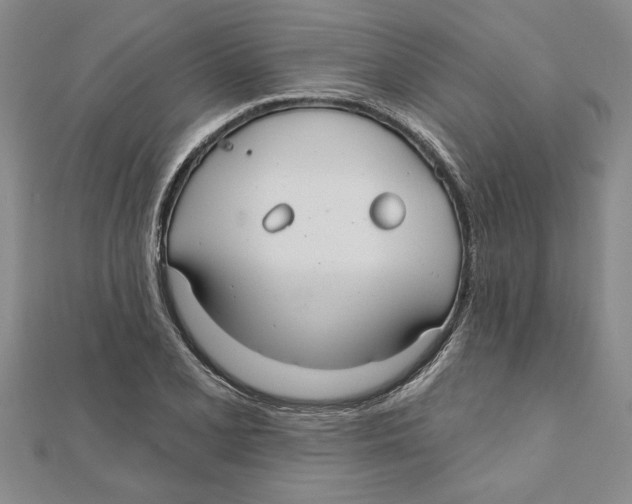 X0000111201077200907291225