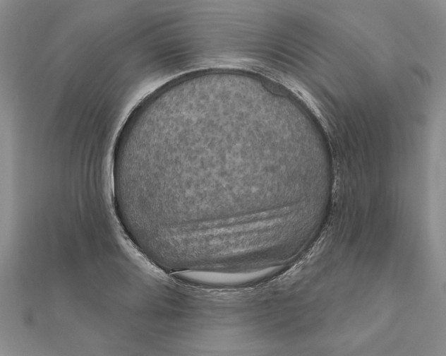 X0000111201080200907291225