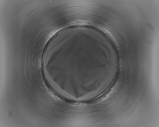 X0000111201081200907291225