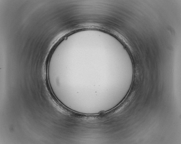 X0000111201082200907291225