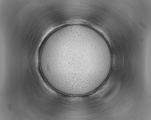 X0000111201083200907291225