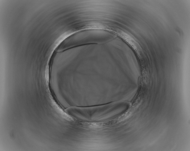 X0000111201084200907291225