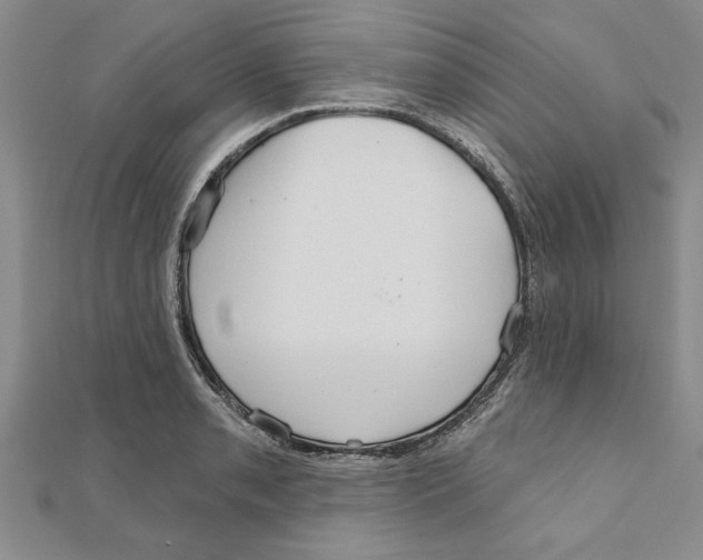 X0000111201085200907291225