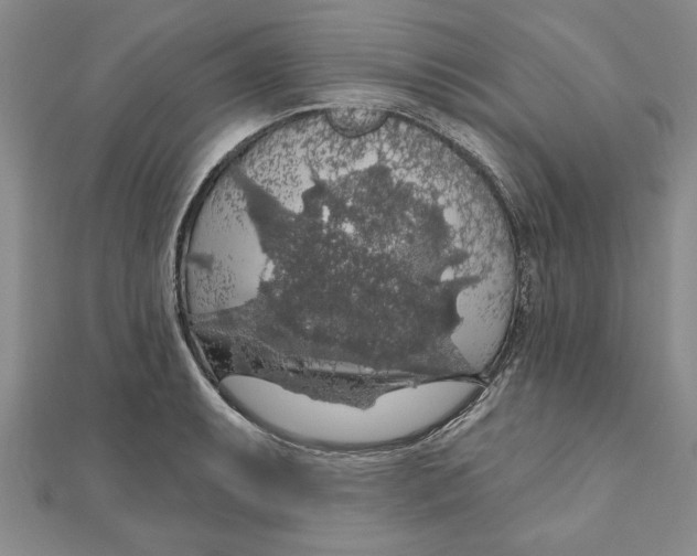 X0000111201087200907291225