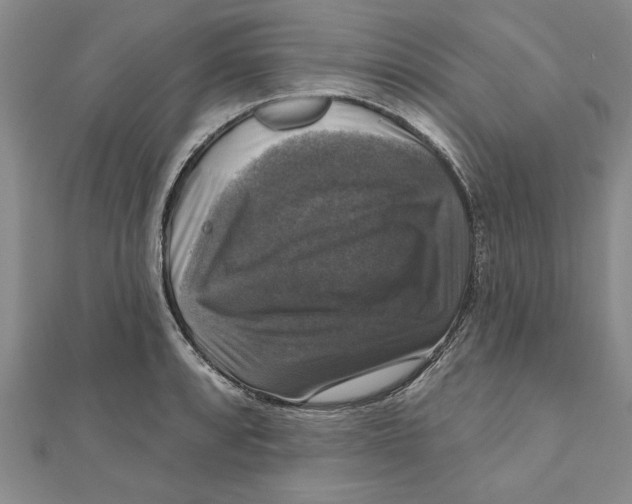 X0000111201088200907291225