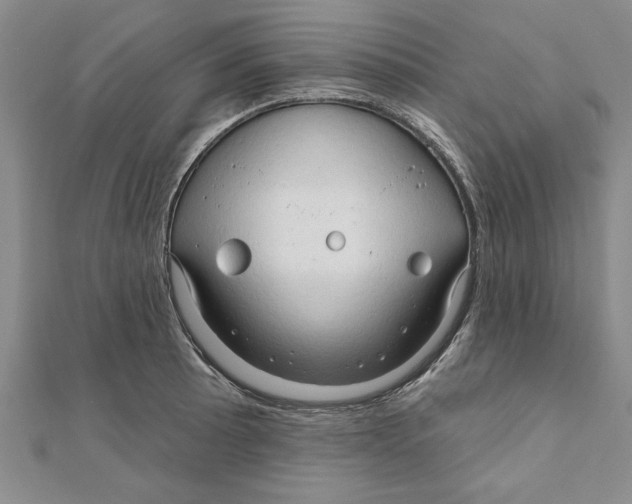 X0000111201089200907291225