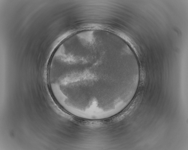 X0000111201090200907291225