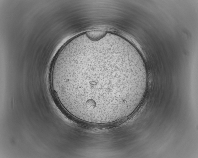 X0000111201091200907291225