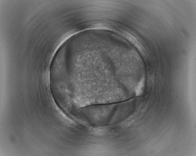 X0000111201092200907291225