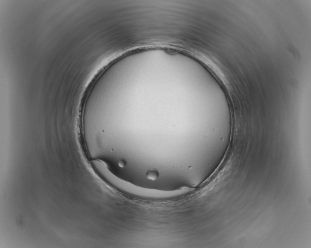 X0000111201093200907291225