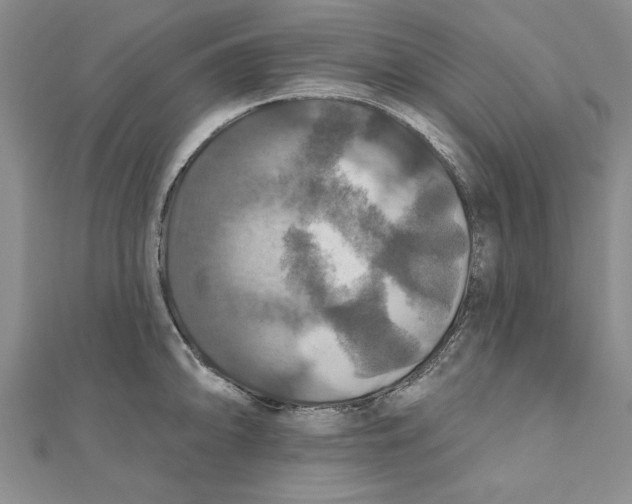 X0000111201094200907291225