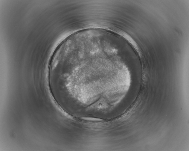 X0000111201096200907291225