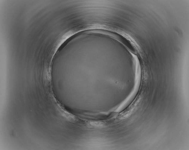 X0000111201097200907291225