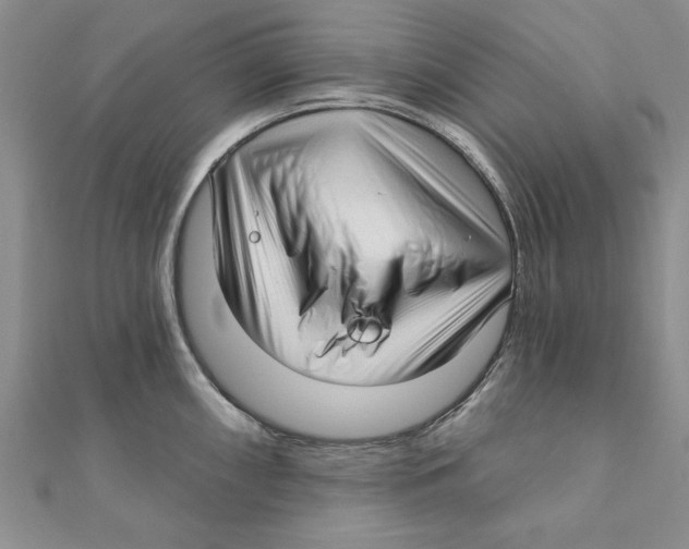 X0000111201098200907291225