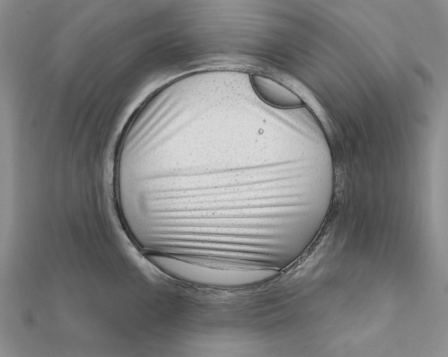 X0000111201099200907291225