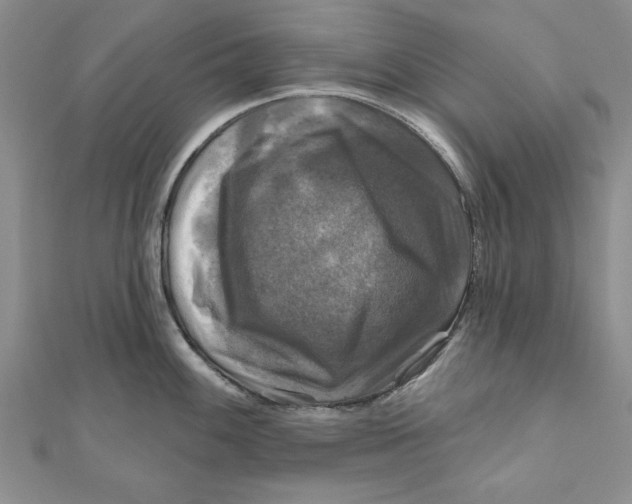 X0000111201100200907291225