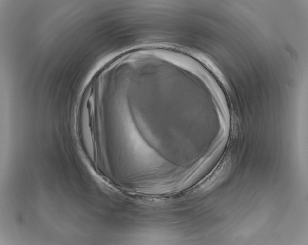 X0000111201101200907291225