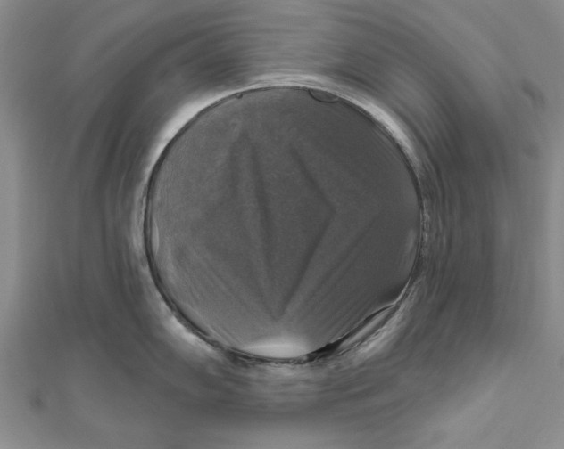 X0000111201102200907291225