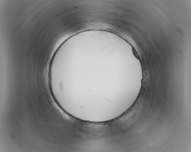 X0000111201103200907291225