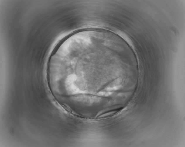 X0000111201104200907291225