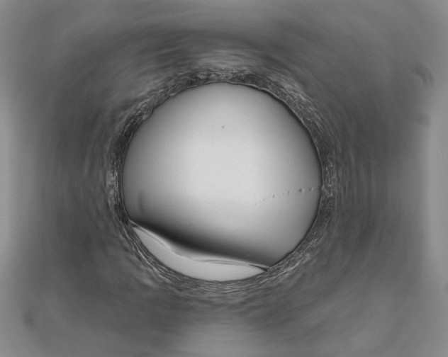 X0000111201109200907291224